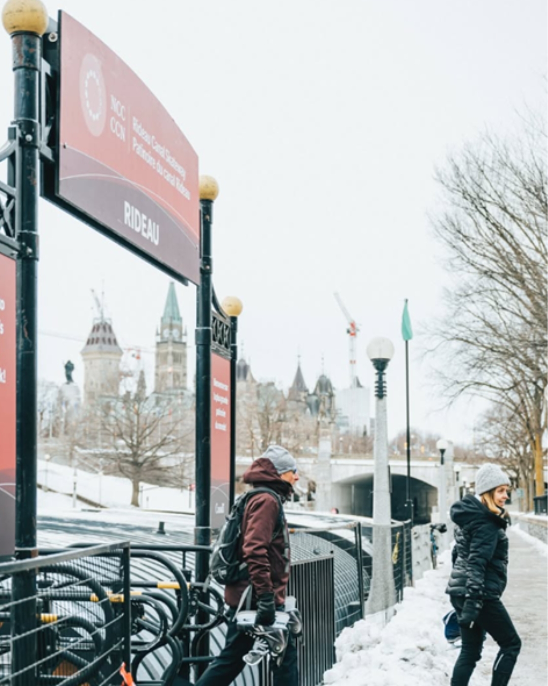 Education and guidance